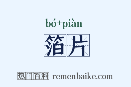 箔片是什么意思的图片